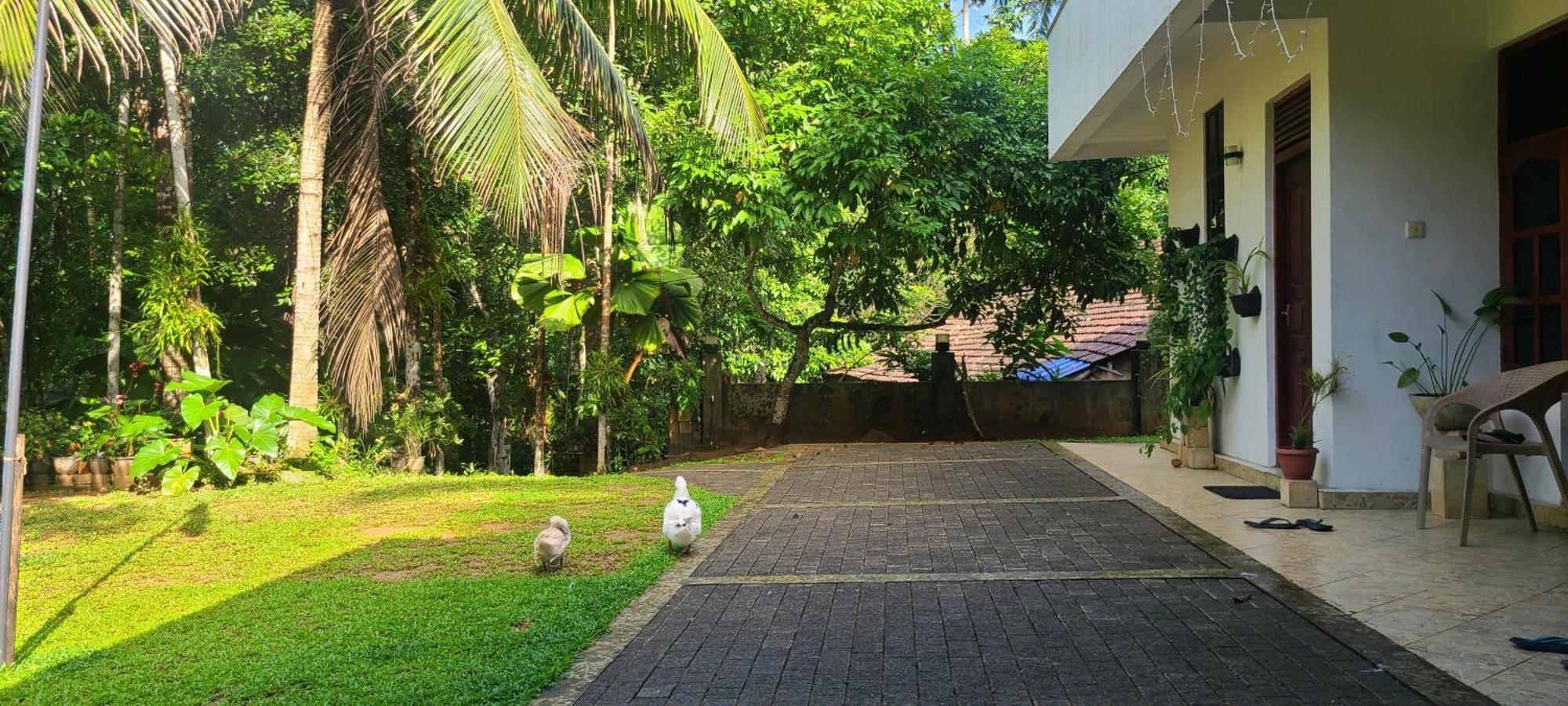 'Kolamba Gedara' Green Apartment Ruwanwella Exteriör bild